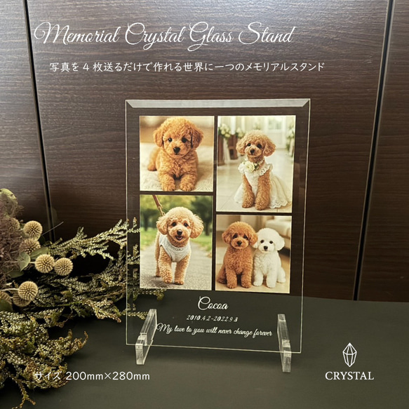 ペット 犬 猫 うちの子 写真 メモリアル プレート アート 名入れ ギフト 記念日 プレゼント おしゃれ 可愛い 思い 1枚目の画像