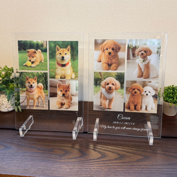 ペット 犬 猫 うちの子 写真 メモリアル プレート アート 名入れ ギフト 記念日 プレゼント おしゃれ 可愛い 思い 4枚目の画像