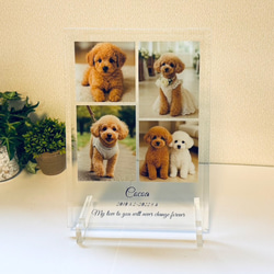 ペット 犬 猫 うちの子 写真 メモリアル プレート アート 名入れ ギフト 記念日 プレゼント おしゃれ 可愛い 思い 2枚目の画像