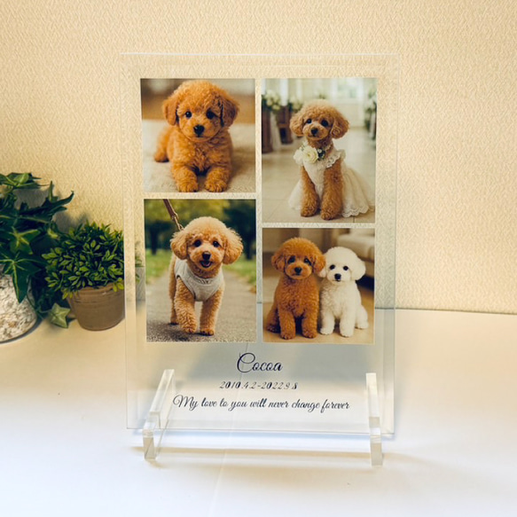 ペット 犬 猫 うちの子 写真 メモリアル プレート アート 名入れ ギフト 記念日 プレゼント おしゃれ 可愛い 思い 2枚目の画像