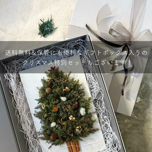 単品販売】立てる×壁掛け｜クリスマスツリー プリザーブドフラワー