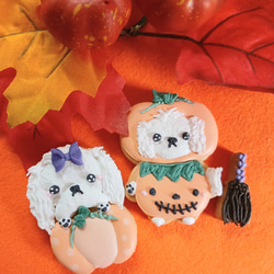 『Creema限定新作』『ハロウィン2025』ハロウィンわんちゃんのアイシングクッキー※お好きなわんちゃん※白砂糖不使用 1枚目の画像
