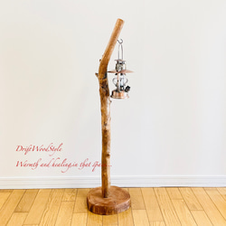 無骨で古木のような流木スタンド ランタンやエアプラントを飾れる置物 北欧 照明 N104 3枚目の画像