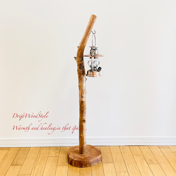 無骨で古木のような流木スタンド ランタンやエアプラントを飾れる置物 北欧 照明 N104 3枚目の画像