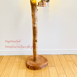 無骨で古木のような流木スタンド ランタンやエアプラントを飾れる置物 北欧 照明 N104 6枚目の画像