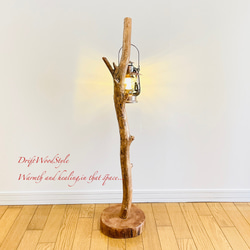 無骨で古木のような流木スタンド ランタンやエアプラントを飾れる置物 北欧 照明 N104 13枚目の画像