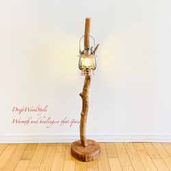 無骨で古木のような流木スタンド ランタンやエアプラントを飾れる置物 北欧 照明 N104 7枚目の画像