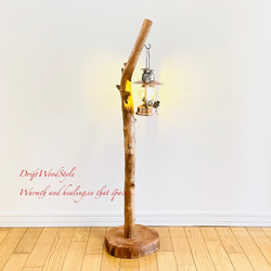 無骨で古木のような流木スタンド ランタンやエアプラントを飾れる置物 北欧 照明 N104 1枚目の画像