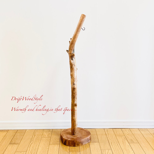 無骨で古木のような流木スタンド ランタンやエアプラントを飾れる置物 北欧 照明 N104 14枚目の画像