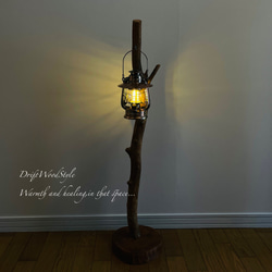 無骨で古木のような流木スタンド ランタンやエアプラントを飾れる置物 北欧 照明 N104 8枚目の画像