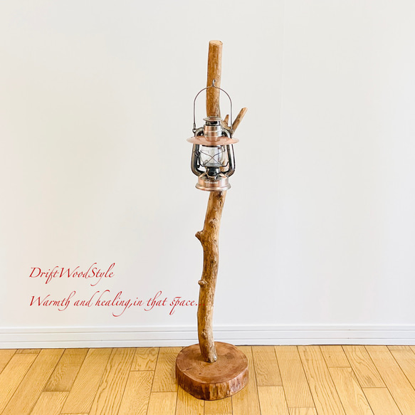 無骨で古木のような流木スタンド ランタンやエアプラントを飾れる置物 北欧 照明 N104 9枚目の画像