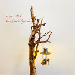芸術的に木の根がうねる流木スタンド ランタンやエアプラントを飾れる置物 照明 N105 5枚目の画像