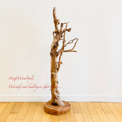 芸術的に木の根がうねる流木スタンド ランタンやエアプラントを飾れる置物 照明 N105 14枚目の画像