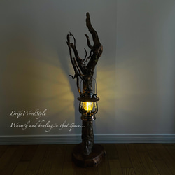 芸術的に木の根がうねる流木スタンド ランタンやエアプラントを飾れる置物 照明 N105 8枚目の画像