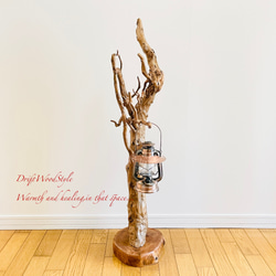 芸術的に木の根がうねる流木スタンド ランタンやエアプラントを飾れる置物 照明 N105 9枚目の画像