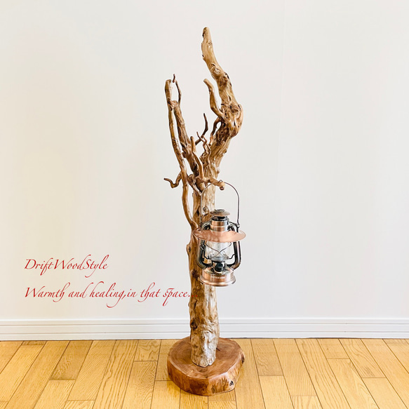 芸術的に木の根がうねる流木スタンド ランタンやエアプラントを飾れる置物 照明 N105 9枚目の画像