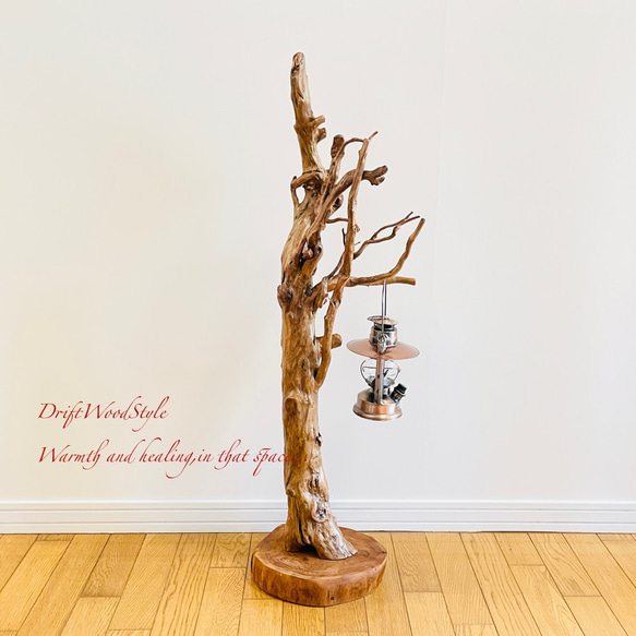 芸術的に木の根がうねる流木スタンド ランタンやエアプラントを飾れる置物 照明 N105 3枚目の画像