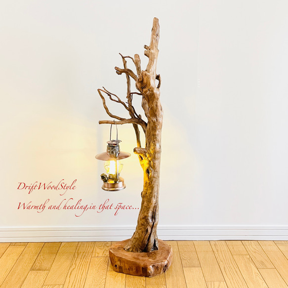 芸術的に木の根がうねる流木スタンド ランタンやエアプラントを飾れる置物 照明 N105 10枚目の画像