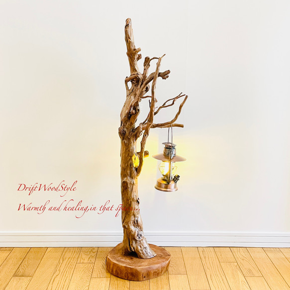 芸術的に木の根がうねる流木スタンド ランタンやエアプラントを飾れる置物 照明 N105 1枚目の画像
