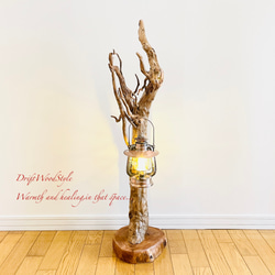 芸術的に木の根がうねる流木スタンド ランタンやエアプラントを飾れる置物 照明 N105 7枚目の画像