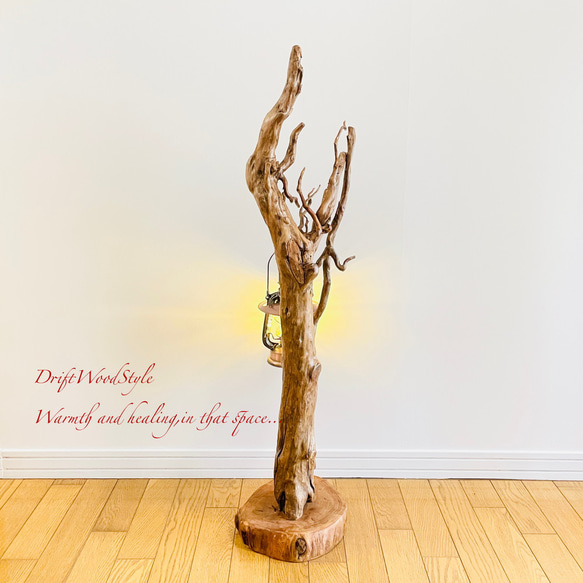 芸術的に木の根がうねる流木スタンド ランタンやエアプラントを飾れる置物 照明 N105 13枚目の画像