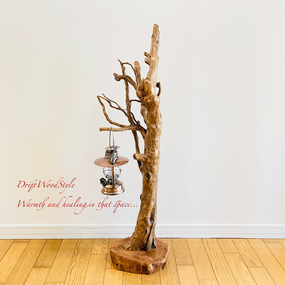 芸術的に木の根がうねる流木スタンド ランタンやエアプラントを飾れる置物 照明 N105 12枚目の画像