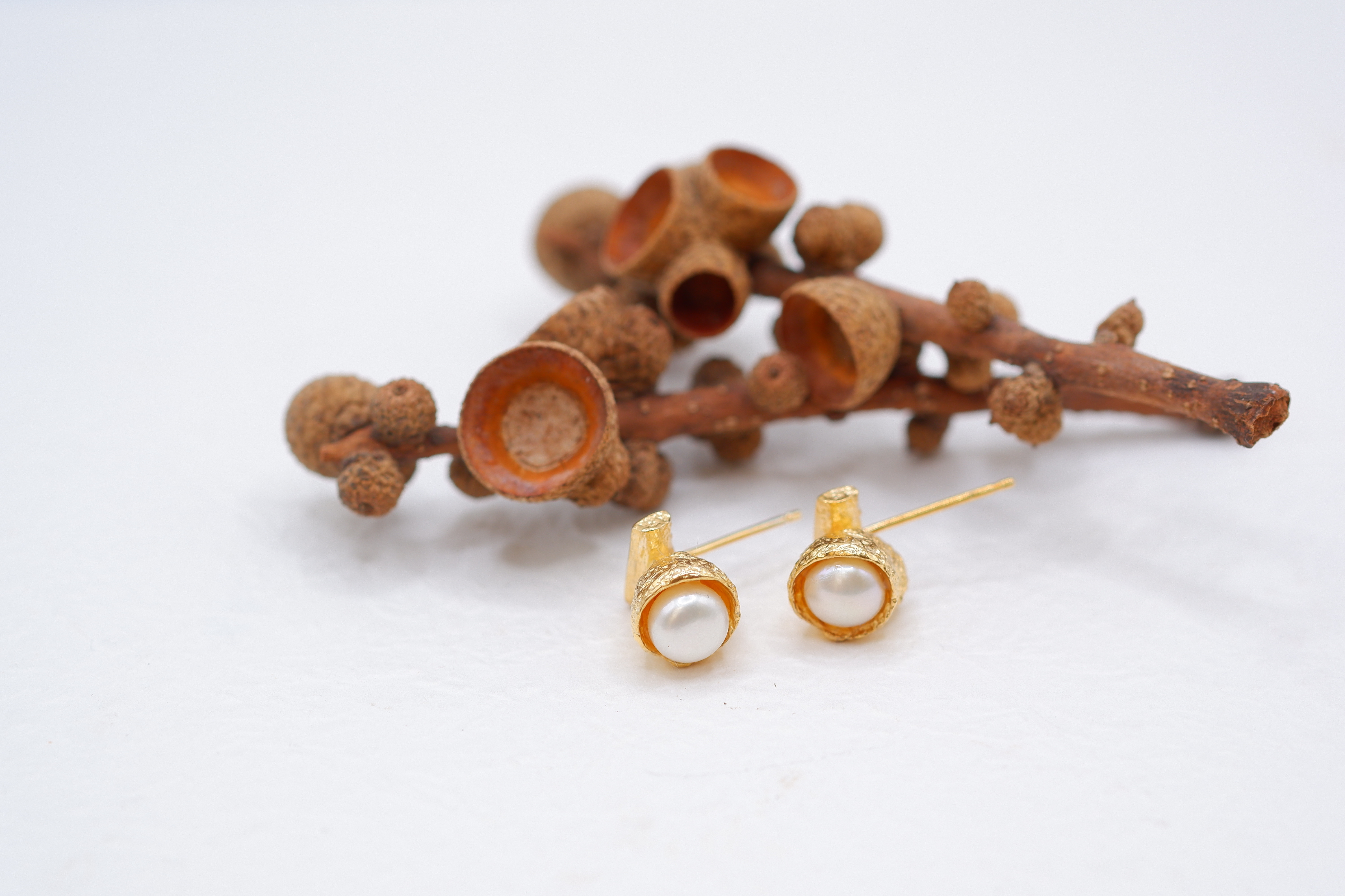 【受注生産】どんぐりの殻ピアス(M)