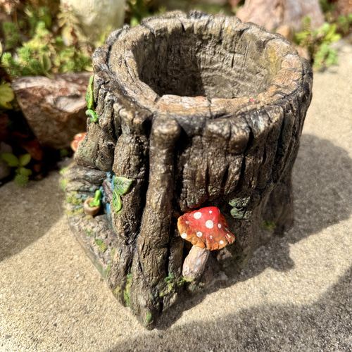 妖精が住むモルタルハウス】切り株のミニハウス型モルタル鉢/多肉植物