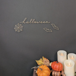 【ハロウィン飾りセット】くもの巣＆コウモリ (シャンパンゴールド)  /  ワイヤーアート ワイヤークラフト ハロウィン 6枚目の画像