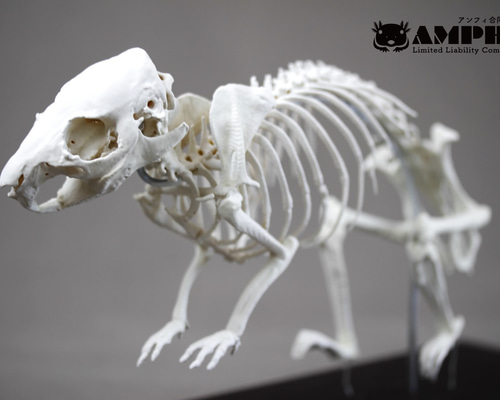 c4e20bdc9641537904c05f684e7bf8