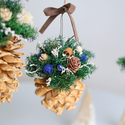 《数量限定》森のキラメキ松ぼっくりオーナメント （４色セット）プリザーブドフラワー 4枚目の画像