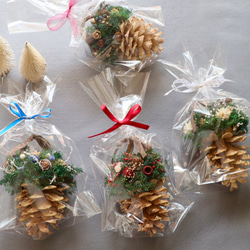 《数量限定》森のキラメキ松ぼっくりオーナメント （４色セット）プリザーブドフラワー 14枚目の画像