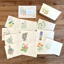 2026年 ボタニカルカレンダー 季節の花や実のカレンダー 1枚目の画像