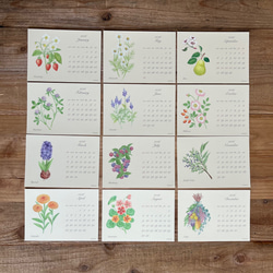 2026年 ボタニカルカレンダー 季節の花や実のカレンダー 3枚目の画像
