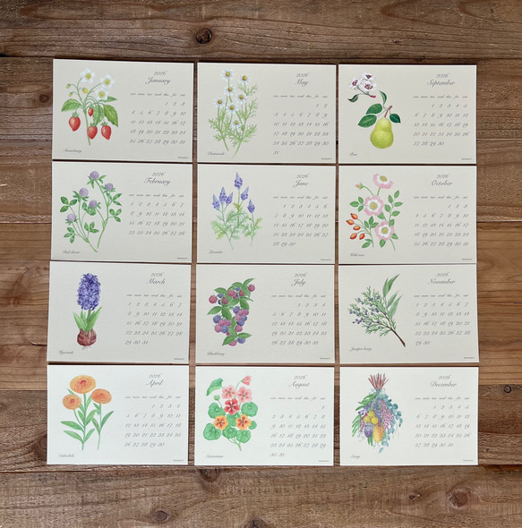 2026年 ボタニカルカレンダー 季節の花や実のカレンダー 3枚目の画像