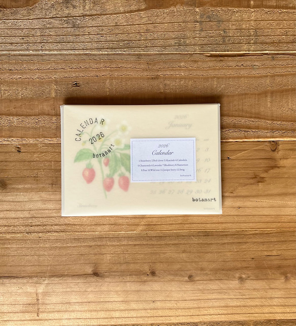2026年 ボタニカルカレンダー 季節の花や実のカレンダー 4枚目の画像