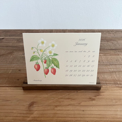 2026年 ボタニカルカレンダー 季節の花や実のカレンダー 2枚目の画像