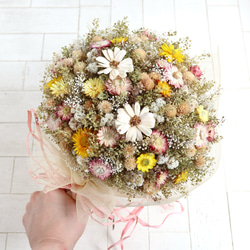 【一点物】★軍配ナズナ&カラーナズナ★ドライフラワー スワッグ 一点物】☆軍配ナズナ&カラーナズナ☆ドライフラワー スワッグ