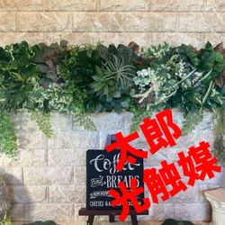 光触媒　ウォールグリーン　フェイクグリーン　ハンドメイド　ユーカリ濃い葉 光触媒 人工観葉植物 ウォールグリーン フェイクグリーン