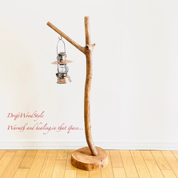 Y字に突き出る枝の流木スタンド ランタンやエアプラントを飾れる置物 北欧 照明 N106 12枚目の画像