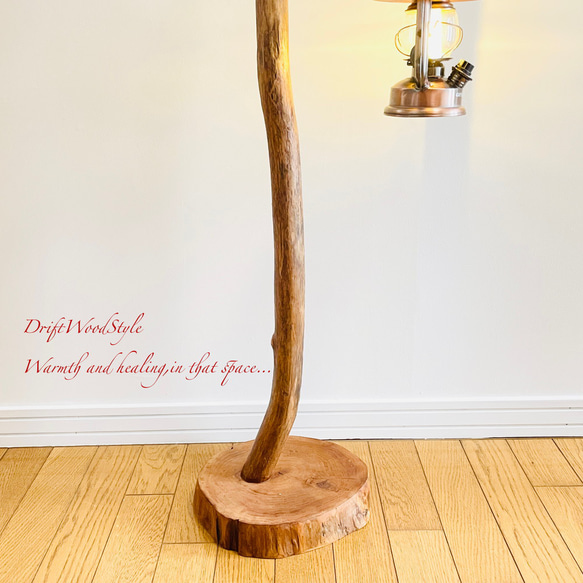 Y字に突き出る枝の流木スタンド ランタンやエアプラントを飾れる置物 北欧 照明 N106 6枚目の画像