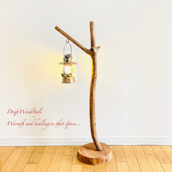 Y字に突き出る枝の流木スタンド ランタンやエアプラントを飾れる置物 北欧 照明 N106 10枚目の画像