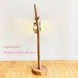 Y字に突き出る枝の流木スタンド ランタンやエアプラントを飾れる置物 北欧 照明 N106 13枚目の画像