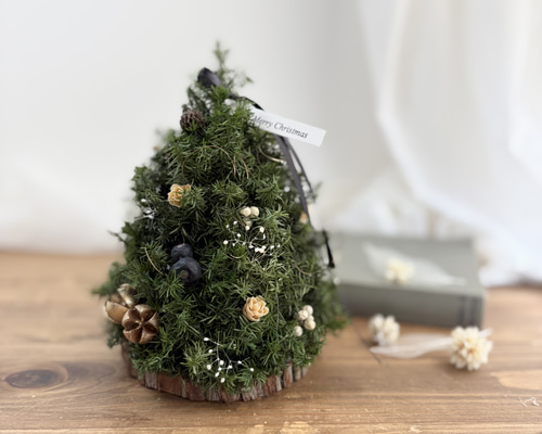 72efbf95b3a22de502bff693ec29f6