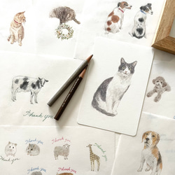 ペットの似顔絵 原画 1枚目の画像