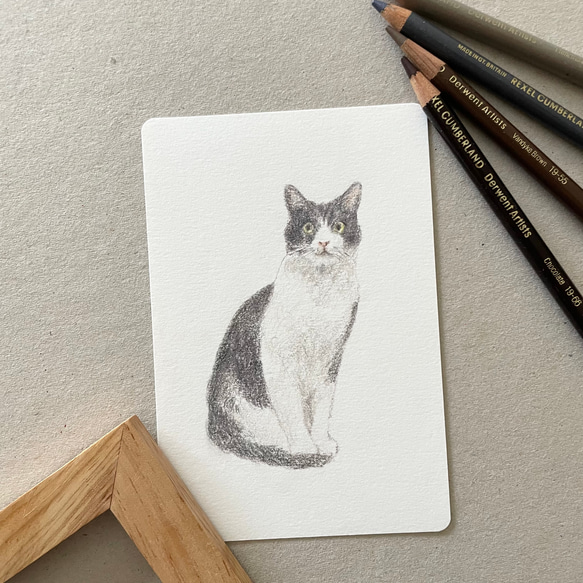 ペットの似顔絵 原画 2枚目の画像