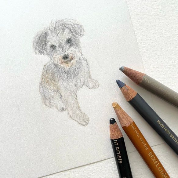 ペットの似顔絵 原画 6枚目の画像