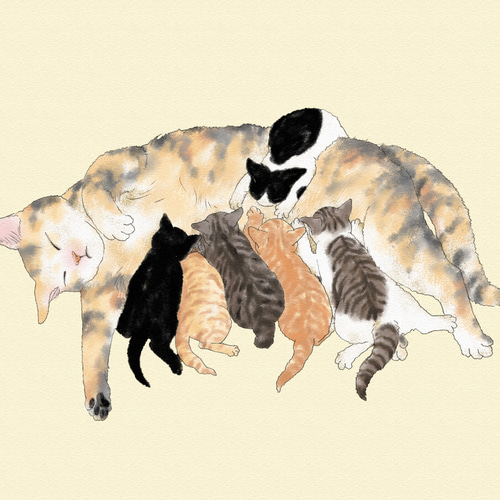 壁掛け「増えるねこカレンダー2026」 【受注生産】 カレンダー
