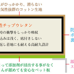 老鳥用 高齢インコ用 落下防止・底冷え対策 ケージ底上げ オーダーメイド クッションマット（鳥さんの体重～500gまで） 6枚目の画像