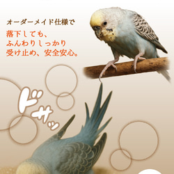 老鳥用 高齢インコ用 落下防止・底冷え対策 ケージ底上げ オーダーメイド クッションマット（鳥さんの体重～500gまで） 3枚目の画像